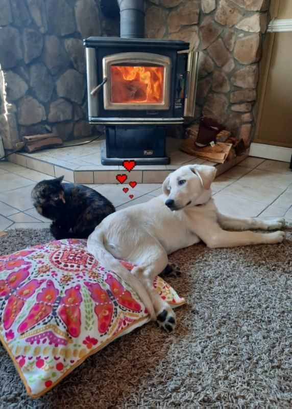 Novidades do Mundo da Propriedade Intelectual: CAFC e Mudan�as Importantes