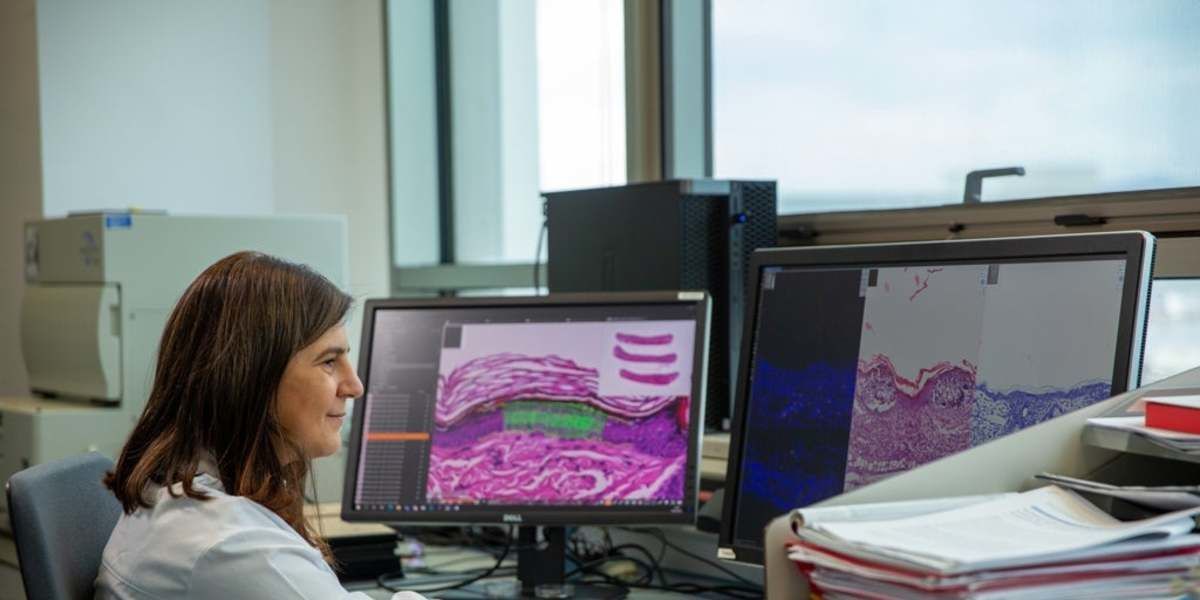 A Revolu��o da Bioinform�tica e seu Impacto no Mercado Global